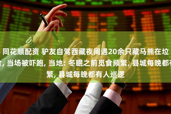 同花顺配资 驴友自驾西藏夜间遇20余只藏马熊在垃圾堆觅食, 当场被吓跑, 当地: 冬眠之前觅食频繁, 县城每晚都有人巡逻