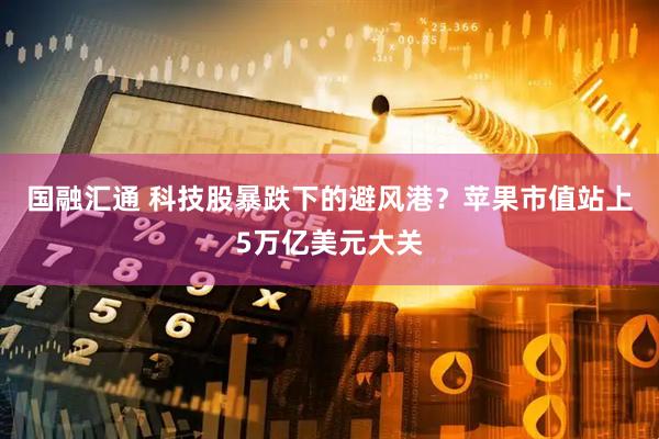 国融汇通 科技股暴跌下的避风港？苹果市值站上5万亿美元大关